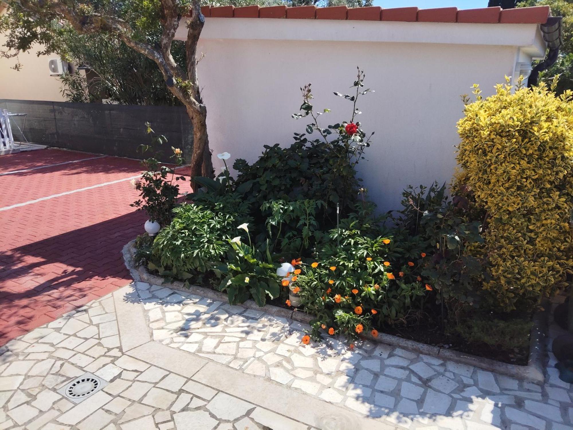 Apartma Mila-casa Bianca *